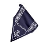 پرچم ریونکلاو